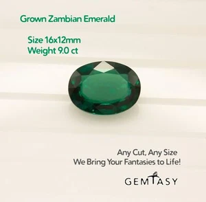 Cut stone - Emerald Zambian hydrothermal lab grown, 16x12mm 9ct - Picture 1 of 4