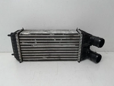 9603900780 Intercooler 192964 1149068 PEUGEOT 208 ACTIVE 2012 Foto 1 de 4