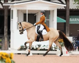 Custom Made to Order Dressage Tailcoat - Picture 1 of 12