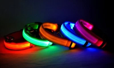 Collar ajustable LED para perros y gatos diferentes colores y tamaños - Imagen 1 de 4