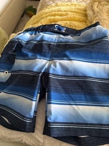 Wonder Nation Boys Size 4-5 Swim Trunks Multicolor W/ Pocket - Picture 1 of 4