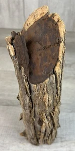 Ironwood Raw Lumber With Bark DIY Woodworking 3 LB 7 OZ Round (13X3”) - Picture 1 of 18