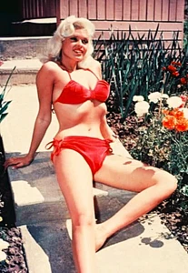 JAYNE MANSFIELD 2 Photo Magnet @ 3"x5" - Picture 1 of 1