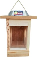 World Wildlife Illuminato Minibeast Centro