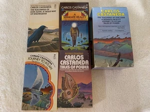 Carlos Casteneda 4 Bücher BOX SET Pocket PB Don Juan/Ixtlan/Separate Reality/Power - Bild 1 von 6