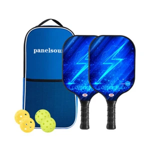 Pickleball Paddle Fiberglass Set USAPA Approved Fiberglass Rackets with Balls - Picture 1 of 7