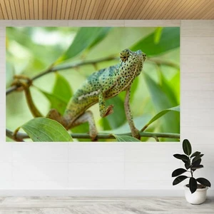 Chameleon Reptile Trees Island Jungle 3d View Wall Sticker Poster Decal A457 - Picture 1 of 2