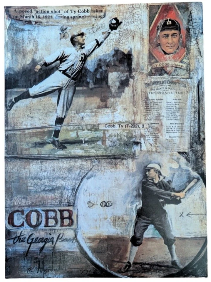 Ty Cobb 1991 Detroit Tigers Georgia Peach impresión original Illus 7,5 x 10,5" Foto 1 de 1