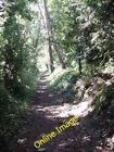 Photo 6x4 Ancient trackway in East Dorset Trickett's Cross This image, ro c2012