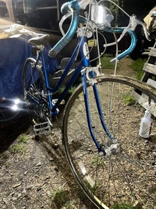 Schwinn Deluxe Varsity Vintage 70s Garage Kept Women’s Model - Picture 1 of 4
