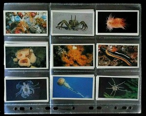 Grandee Cigars Cards, The Living Ocean, Full Set of 30, 1985 Issue.