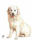 ❈ Original Oil Portrait Painting Kuvasz Artist Signed Puppy Dog Artwork Art