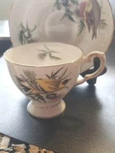 Audubon Finch And Thistle Porzellan Teetasse und Untertasse - Bild 1 von 4