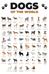 Affiche murale art tableau races populaires chiens types du monde - AFFICHE 20x30 - Photo 1 sur 4