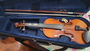 Carlo Robelli 209 Series Viola (14”) - Picture 1 of 2