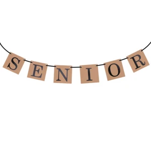 Bunting Garland Banner Valentines Day Banner Graduation Banner Pennant Banner - Picture 1 of 7