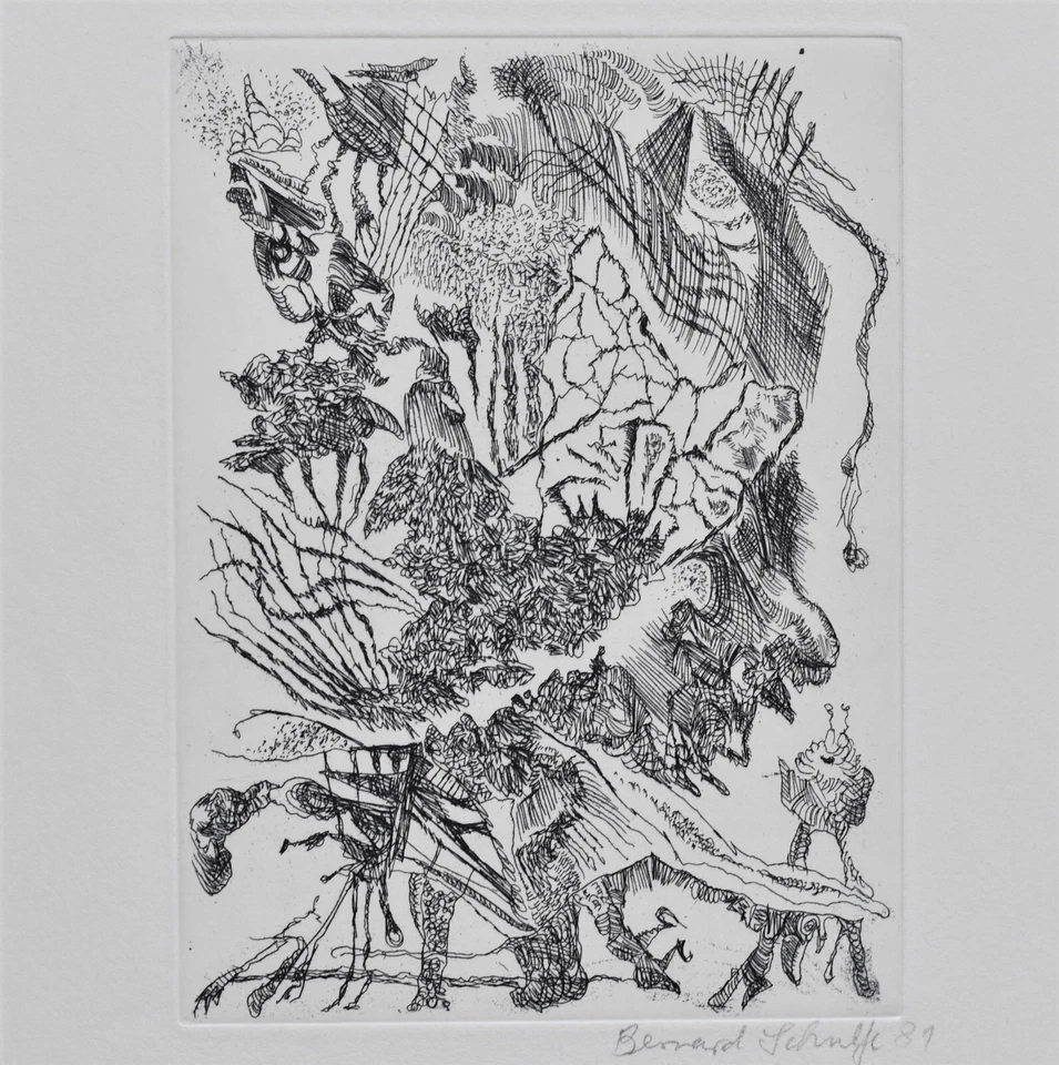 Bernard Schultze Grafik Migof Gestrüpp 1 Radierung signiert - Bild 1 von 4