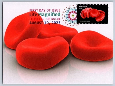 #5802a Life Magnified Red Blood Cells FDC Maxi Card w/DCP Cancel - Image 1 of 2