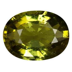 1.26 ct Extraordinary Oval Cut (8 x 6 mm) Mozambique Green Tourmaline Gemstone - Picture 1 of 1