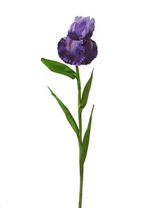 (00969) ARTIFICIAL FLOR INDIVIDUAL IRIS IRIDEAE LIRIO DE ESPAÑA SATIN AZUL - Picture 1 of 1
