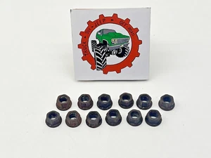 73-87 Truck 73-91 SUV GMC Dana 44 GM 10 Bolt Spindle Nut Set of 12 L&R OEM - Picture 1 of 3