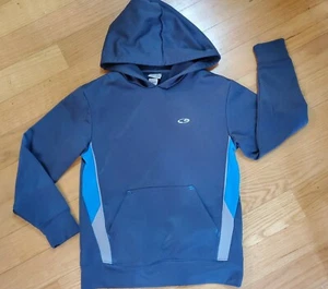 Boy Size Medium Champion Gray Hoodie Sweatshirt  - Picture 1 of 1
