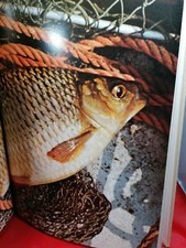 Bacmeister, Dr Arnold THE ANGLER'S BOOK OF FRESHWATER FISH - VOLUME 2 1977 Hardb