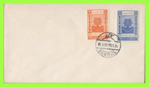 Afghanistan 1960 World Refugee Year set on plain First Day Cover - Picture 1 of 1