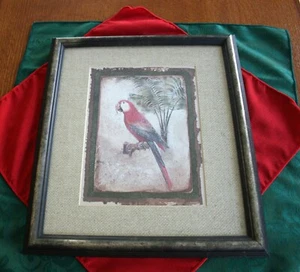Vintage gerahmter roter Papagei Kunstdruck professionell gerahmt und mattiert Kunstwerk - Bild 1 von 10