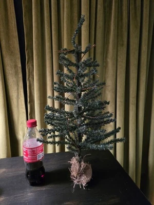 Vtg Tabletop Christmas Tree Wood Base 20 inch Tall Faux Pine Rustic Primitive - Image 1 of 4