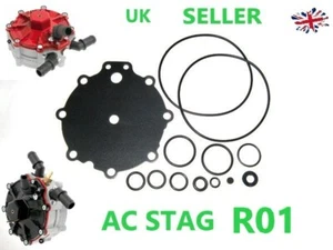 AC STAG R01 Reducer Repair Kit AUTOGAS GPL LPG - Picture 1 of 4