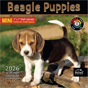 Mini Calendario MICASA Beagle Puppies 2026, 12 Meses, 7"x14", Regalo, Duradero - Imagen 1 de 12