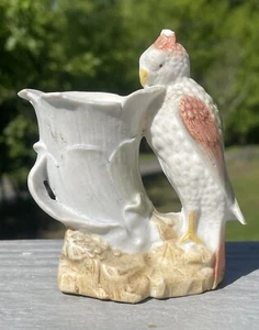 Antique Bisque Porcelain Match Holder Striker w/ Bird & Horn Parrot Cockatoo - Picture 1 of 10