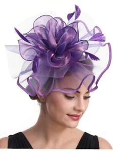 Fascinator Womens Organza Church Kentucky Derby British Bridal Tea Party - Picture 1 of 3