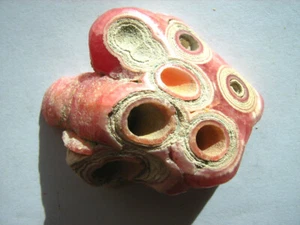 Erstklassiger RHODOCHROSIT STALAGTIT aus Argentinien, absolut selten - Bild 1 von 6