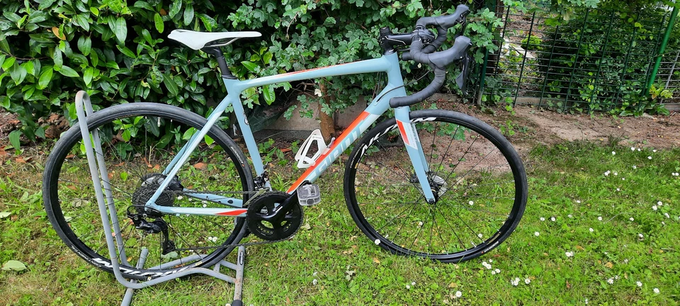Giant Rennrad Contend SL Disc Gr. ML 28'' Mint super Zustand mit Service - Bild 1 von 4