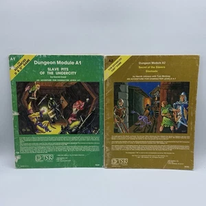 Modulo Advanced Dungeons & Dragons A1 & A2 moduli AD&D avventura copia gioco - Foto 1 di 11