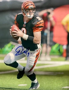 Carson Palmer Cincinnati Bengals Original 8x10 Autographed Photo - Picture 1 of 1