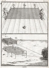3 Antique Prints-CATCHING PARTRIDGES-Pl. 39-40-41-Chomel-1743