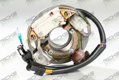 Ricks Stator For Arctic Cat Cheetah 550 1994 24-008 Foto 1 de 3