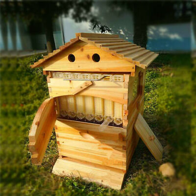 Fir Wooden Auto Flowing Bee Hives Honey Langstroth Beehive +7 Beekeeping Frames • 240.34$