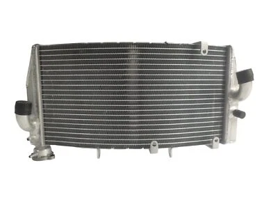 Autopart for Radiator Engine Cooling Honda CBR900RR CBR929RR Fireblade 2000 2001 - Image 1 of 4