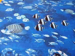 Aquarium Fische Ozean blue Ozeana Kanvas Patchworkstoff Baumwolle 50x110cm - Bild 1 von 7