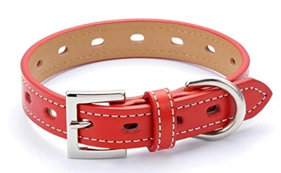 Stylish and cute dog collar, brand name, suitable for medium, small, and extra-s - Image 1 of 4