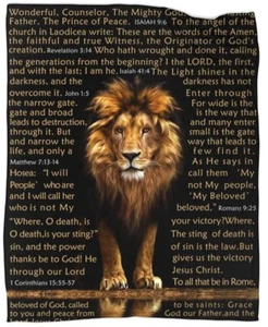 Bible Verse Blanket Christian Lion Prayer Religious Throw Blankets for Couch - Picture 1 of 7