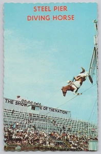 Steel Pier Diving Horse Atlantic City New Jersey NJ 1960s Vintage Postcard - Picture 1 of 2