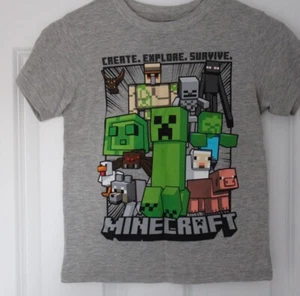 MOJANG STUDIOS Boy’s Minecraft Graphic T-shirt Short Sleeve Grey - Picture 1 of 3