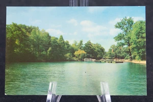 Postal The Lake and Boat Dock Burnet Woods Cincinnati Ohio OH - Imagen 1 de 2