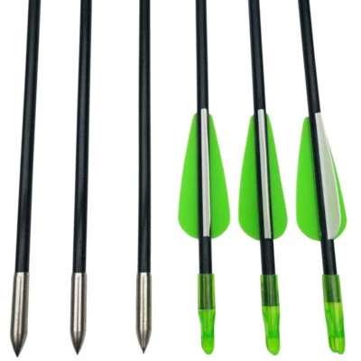 6/12pcs 31" Archery Fiberglass Arrows Target Hunting Recurve Compound Bow Shoot - Image 1 of 4