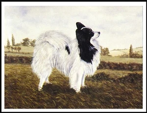PAPILLON LINDO PERRITO PRECIOSO ESTILO VINTAGE PERRO ARTE IMPRESIÓN PÓSTER - Imagen 1 de 1